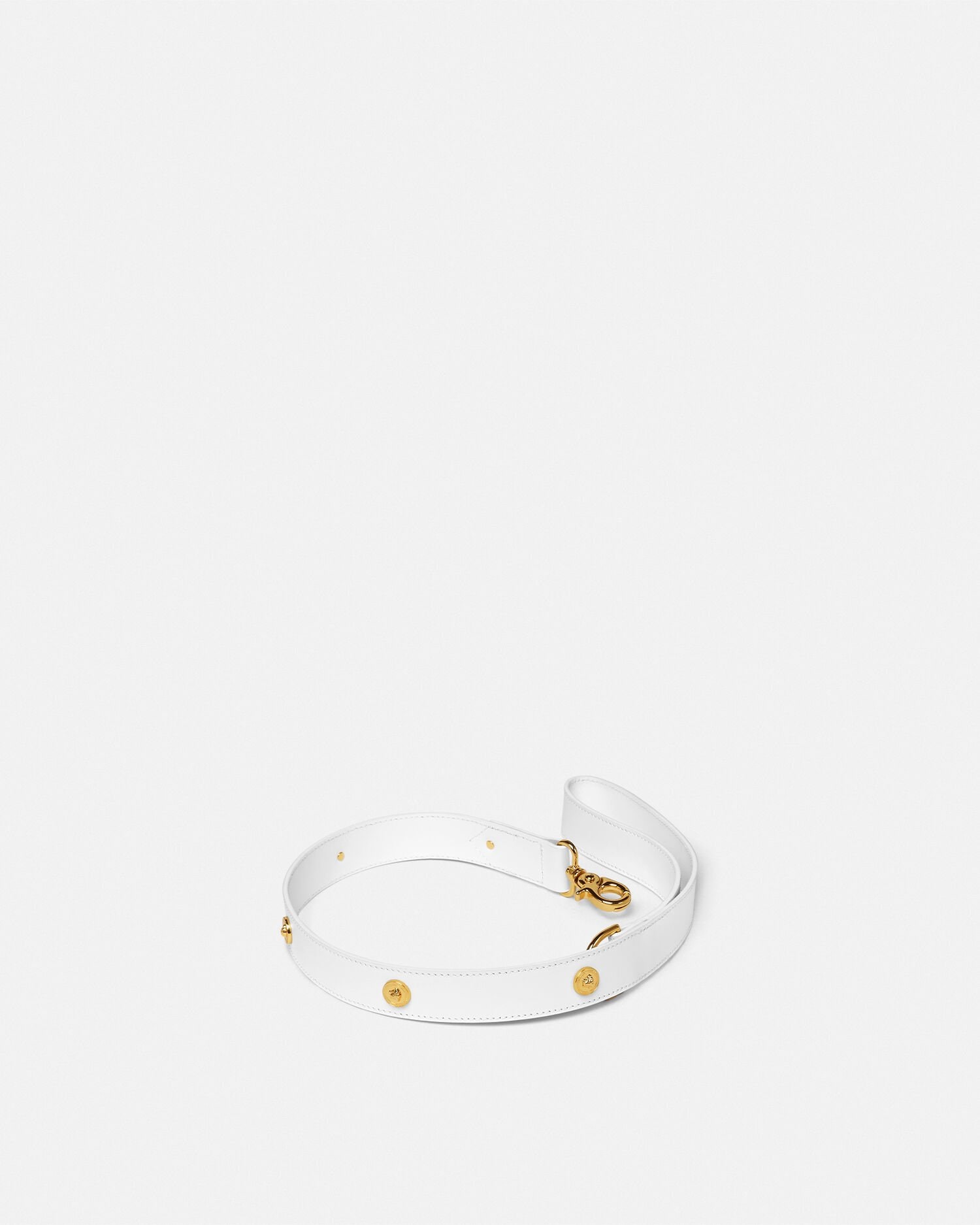 ペット用品コレクション | ヴェルサーチェ 日本