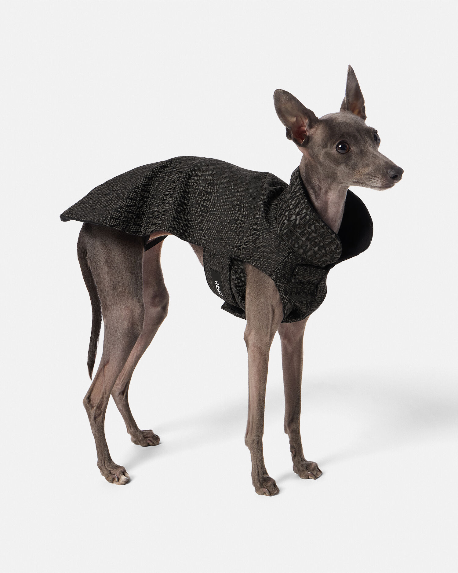 犬 MILLIONG ミリオン ハーネス 小型犬 X型 5Dエアメッシュ