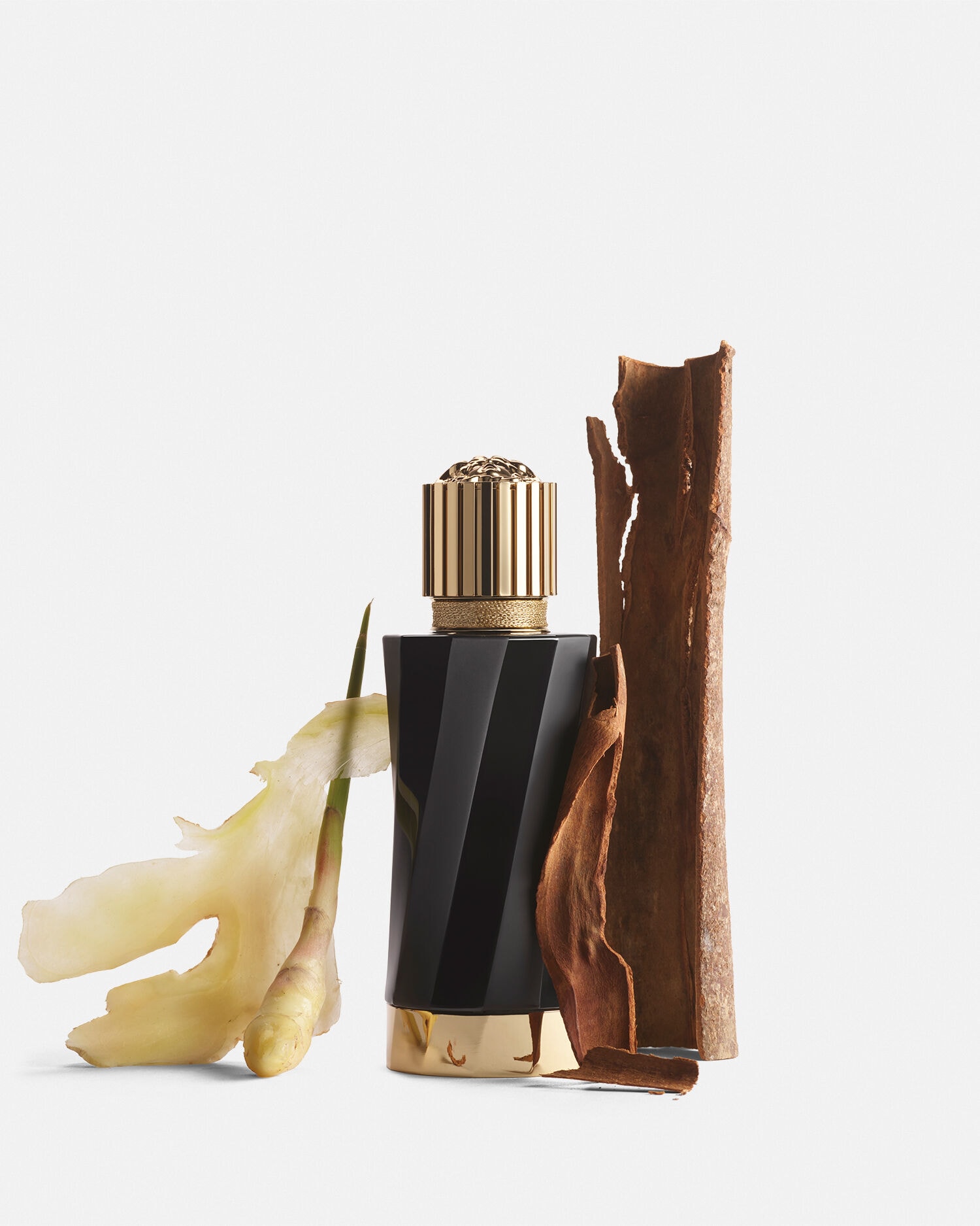 ジャンジャンブル ペティヤン EDP 100 ml ブラック | VERSACE JP