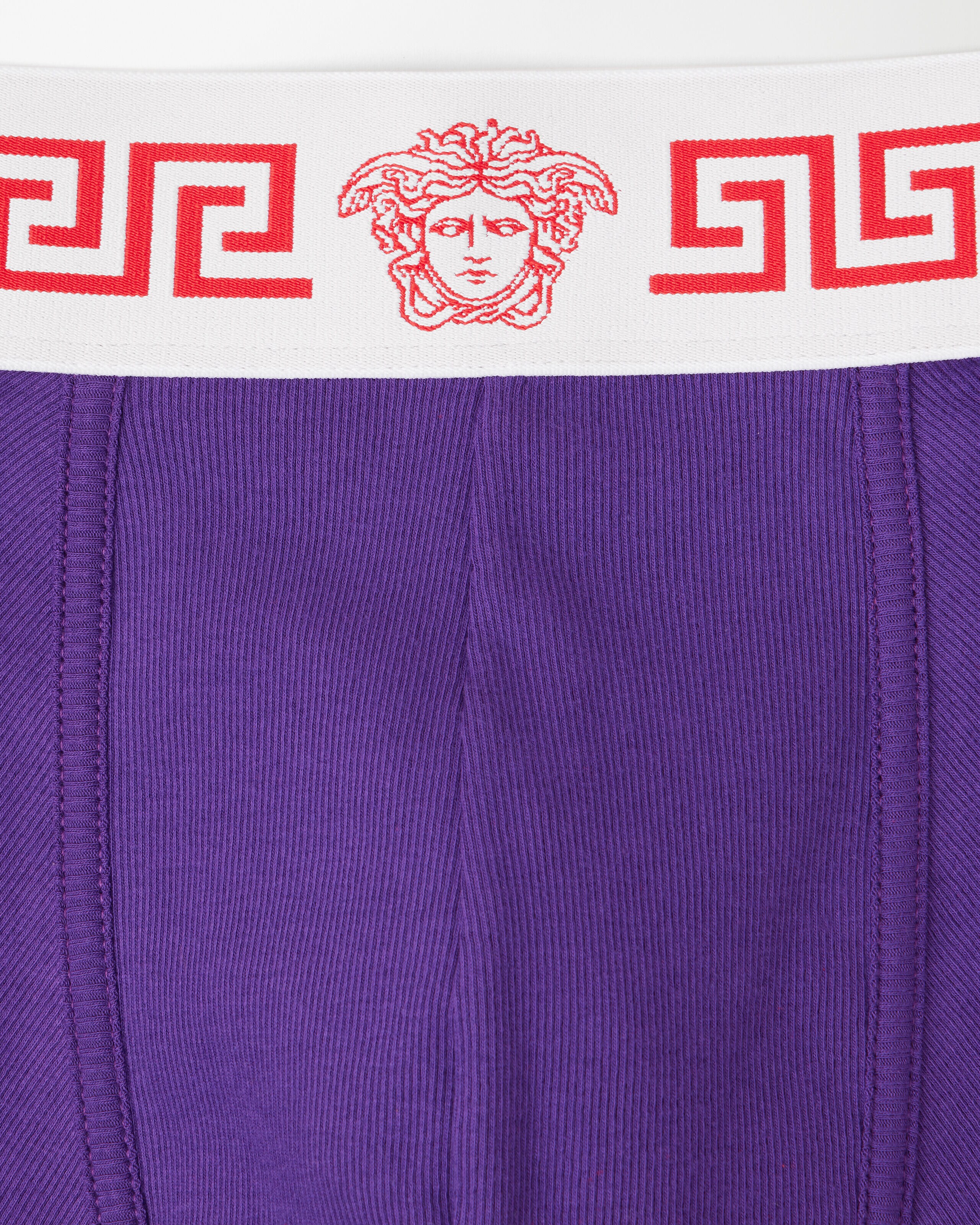 VERSACEヴェルサーチ　グレカ模様 ブリーフパンツ パープル グレカ ボーダー ロング アンダーウェア | VERSACE JP