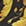 ブラック+ゴールド
