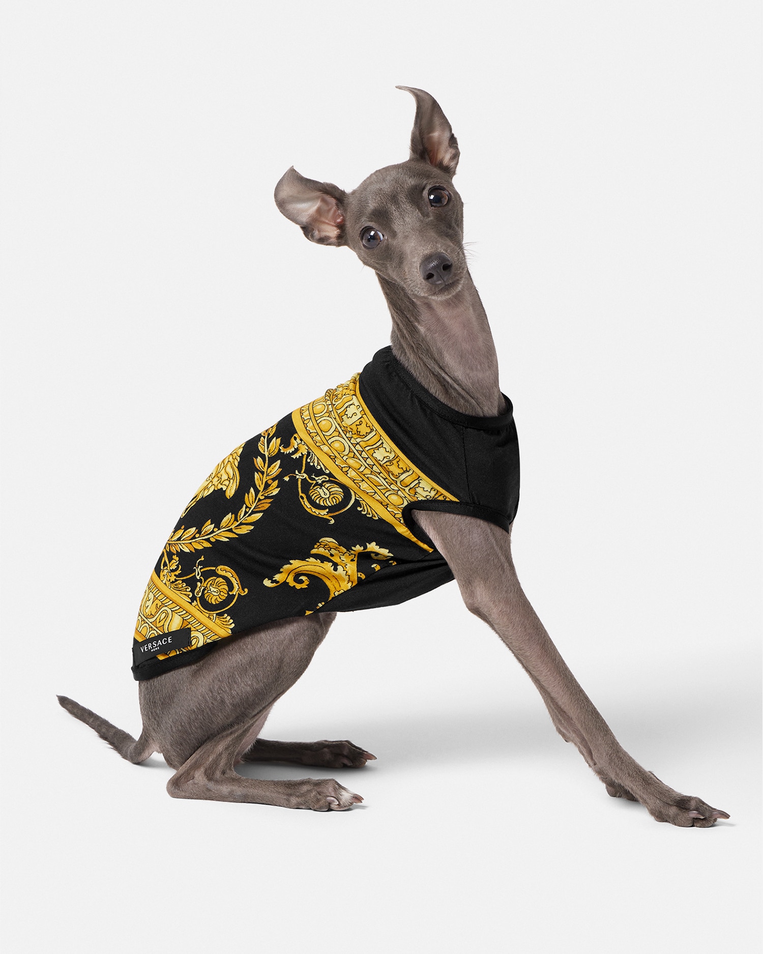I ♡ バロック スモール ペット Tシャツ ブラック,プリント | VERSACE JP
